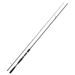 Daiwa Legalis Seabass Spinning Rod