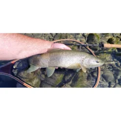 Liberty Nymphe LL Spinning Rod -Penn Daiwa Shop garbolino liberty nymphe ll spinning rod 9