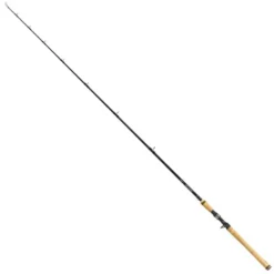 Molix Skirmjan Evo Pike Baitcasting Rod