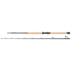 PENN Regiment III Pro Boat Trolling Rod