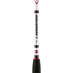 PENN Squadron II Inner Boat Trolling Rod
