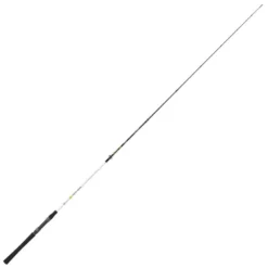 Spot Bass Spinning Rod