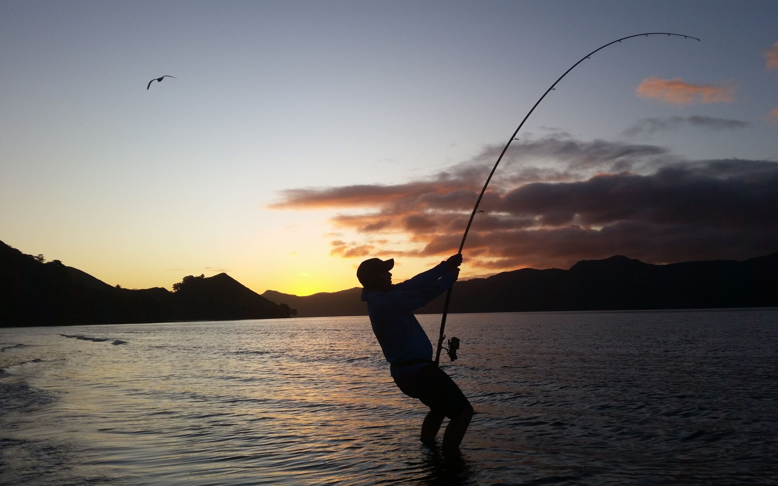 Penn Daiwa Shop -Penn Daiwa Shop 656cf5459fcd7d05228eebc8 Untitled design 2023 12 04T103639.104 scaled